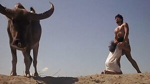 تحول جنسى فيديو افلام سكسي عرقي وموانئ دبي مع شانيل بريستون